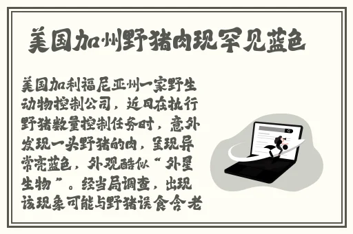 打扑克视频全程播放有声音长时间